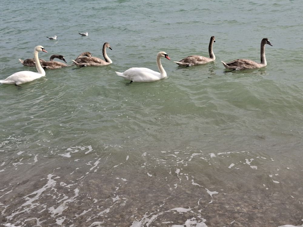 Photograph by Анатолий Дячина