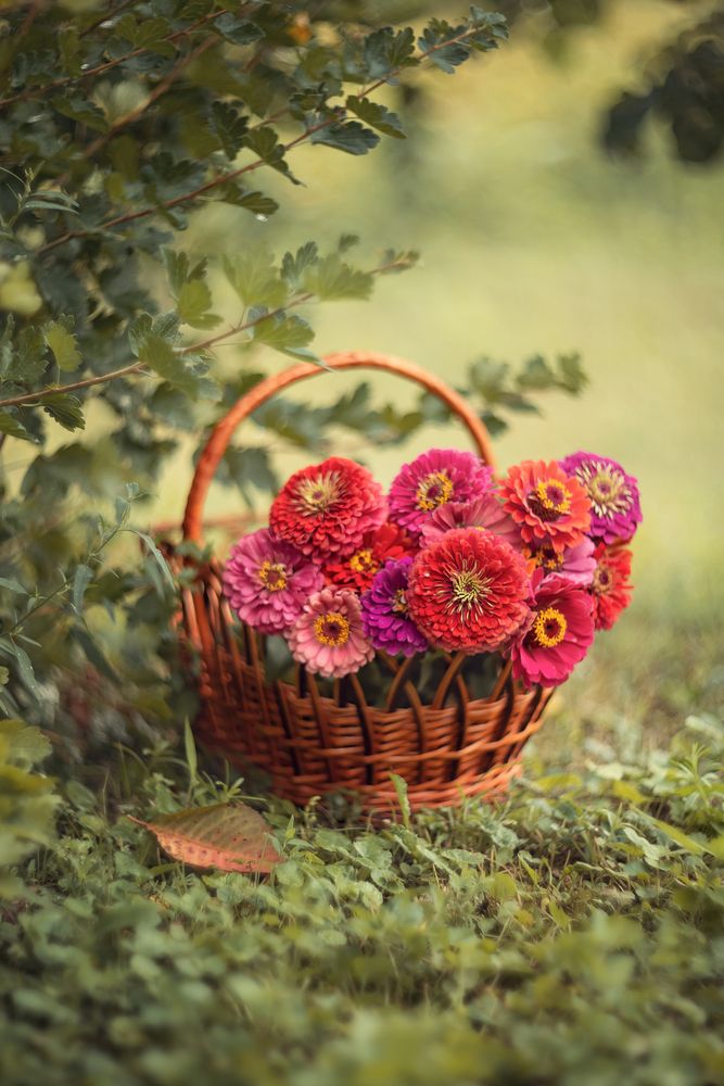 Photograph by Елена Косинова