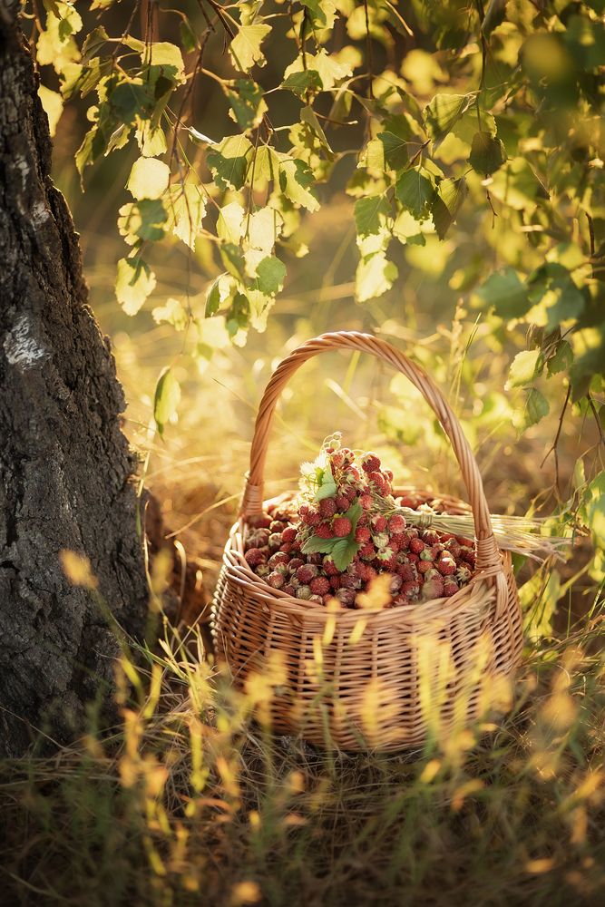 Photograph by Елена Косинова