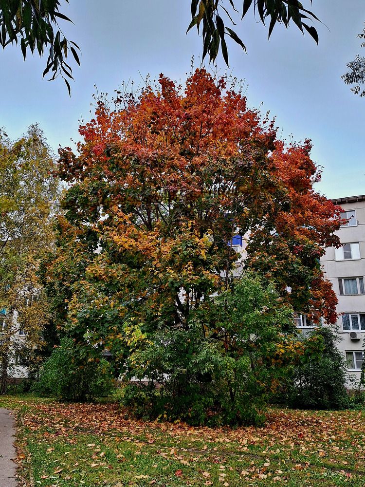 Photograph by Арина Арчакова