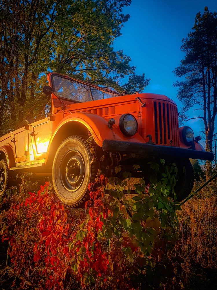 Фотография автора Inna Evseeva