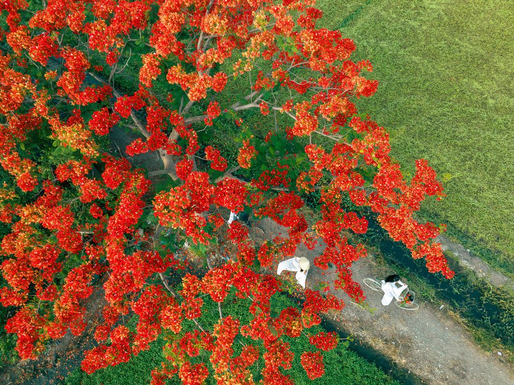 Photograph by Tran Phuong