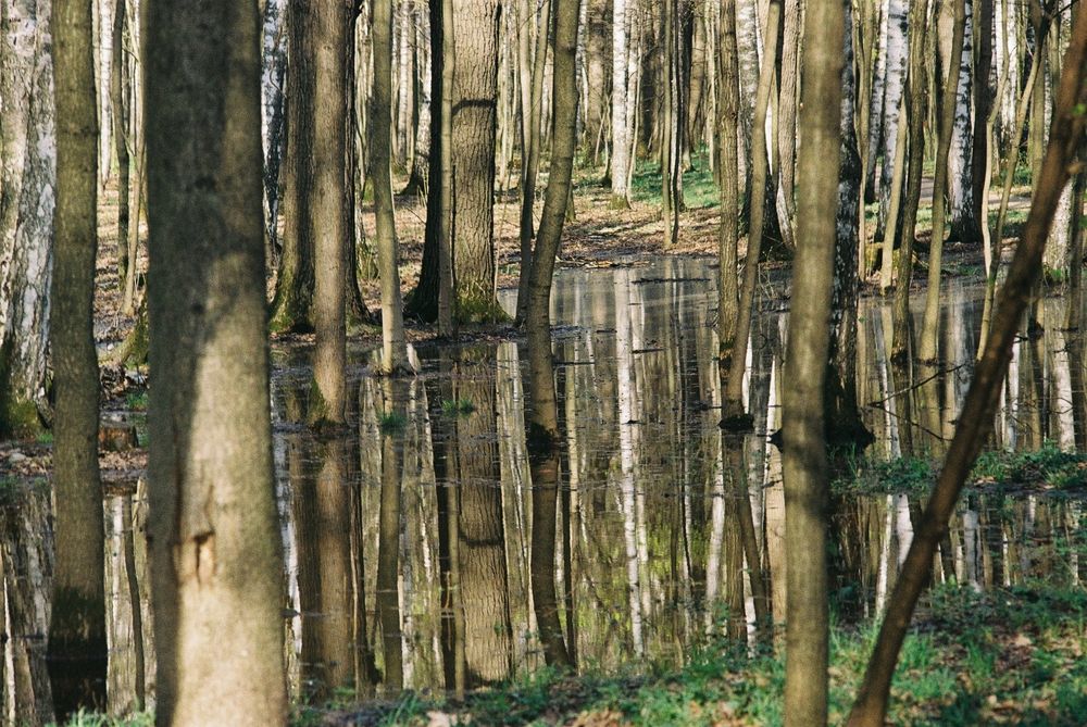 Photograph by Ольга Бородкина