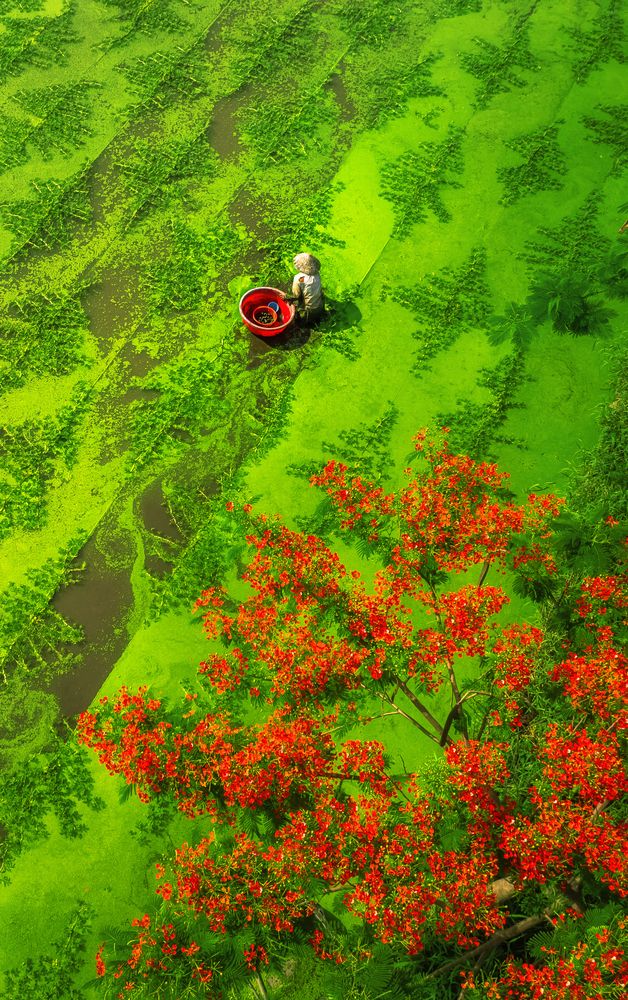 Photograph by Tran Phuong