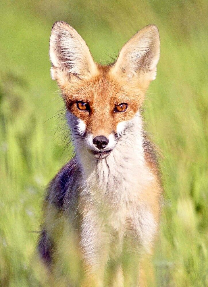 Photograph by Михаил Белоусов