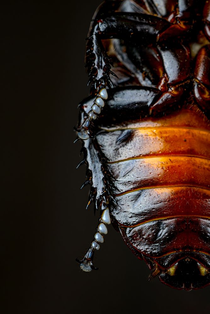 Photograph by Игорь Толкачев