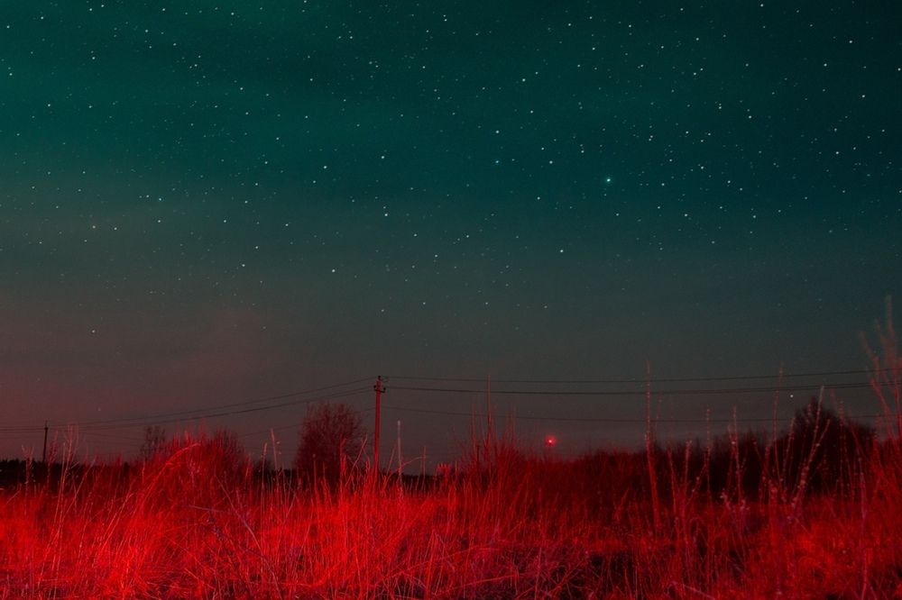 Photograph by Вера Владимирова