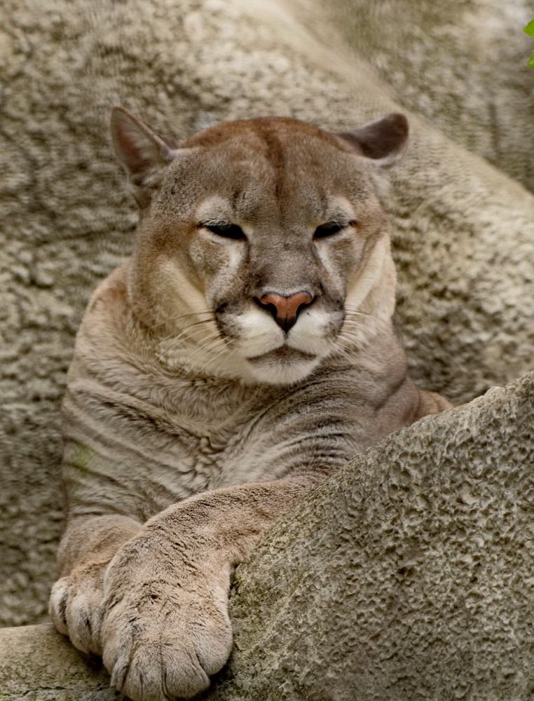 Photograph by Анастасия Смирнова