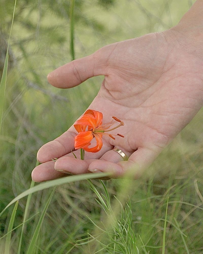 Photograph by Светлана Дмитриева