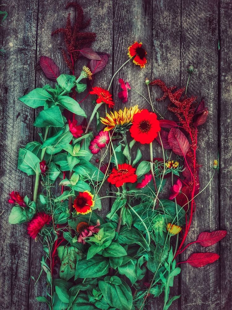 Photograph by Светлана Дмитриева