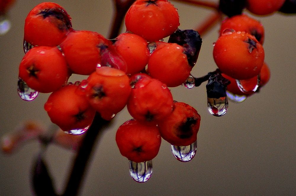 Photograph by Николай Леухин