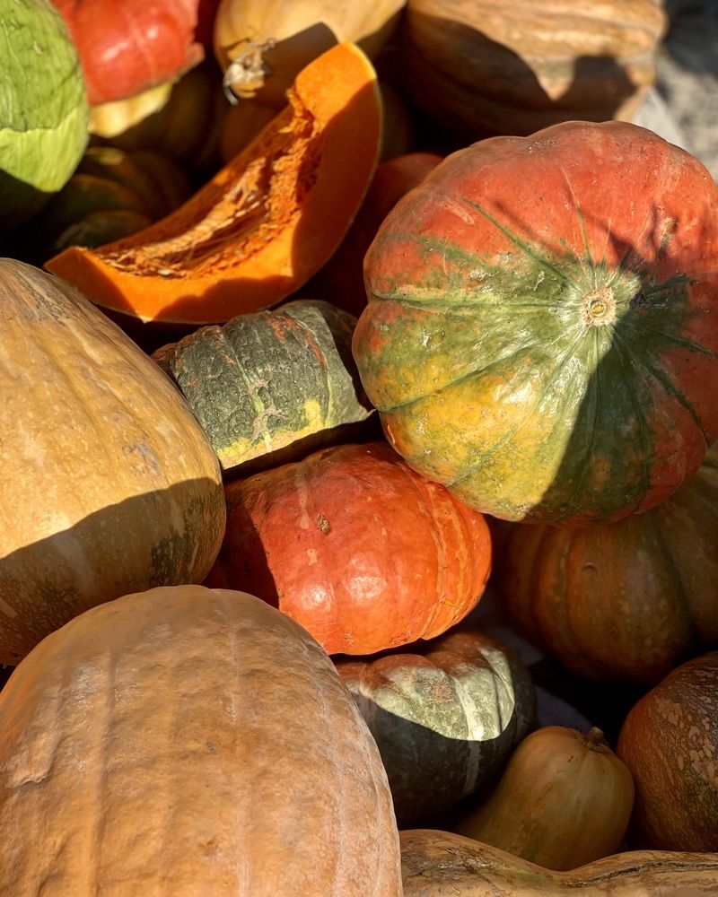 Photograph by IGOR CHERKESOV