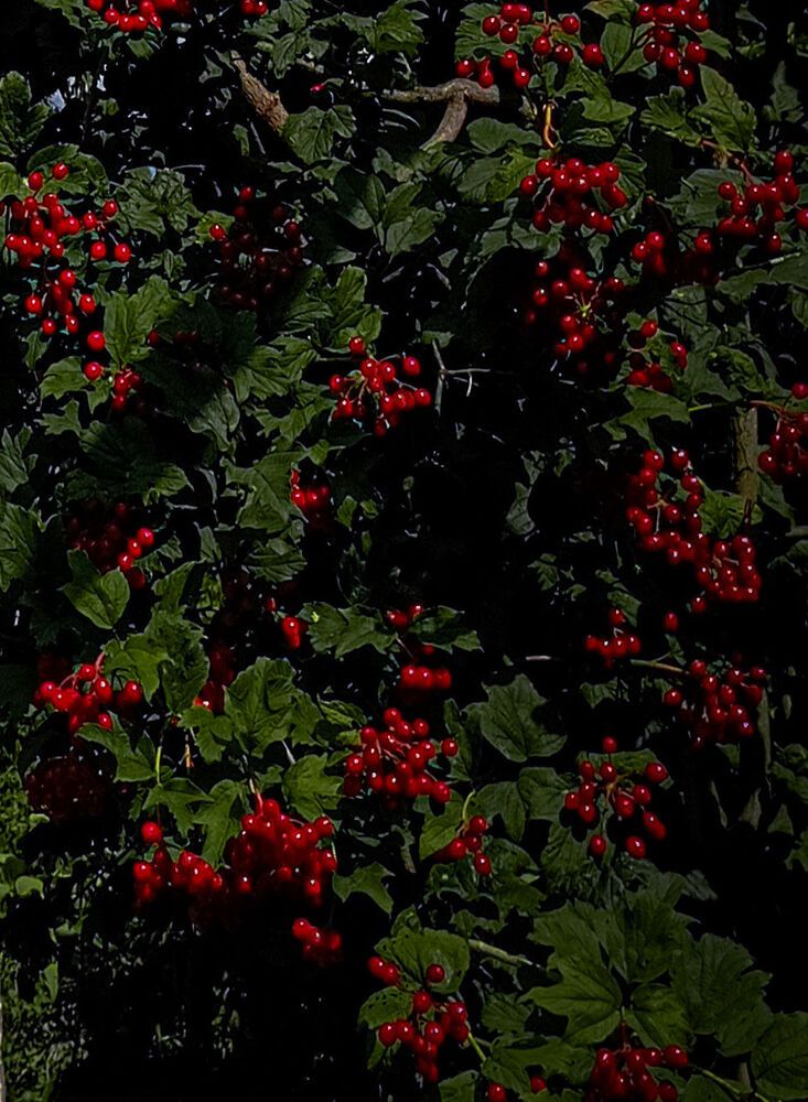 Photograph by Елена Ерасова