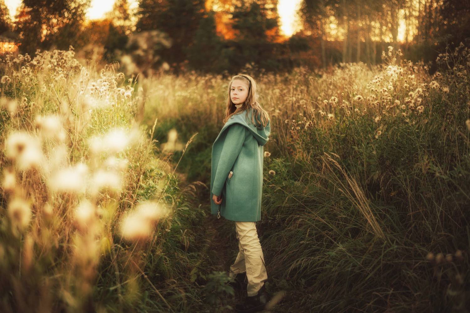 Photo #12766489