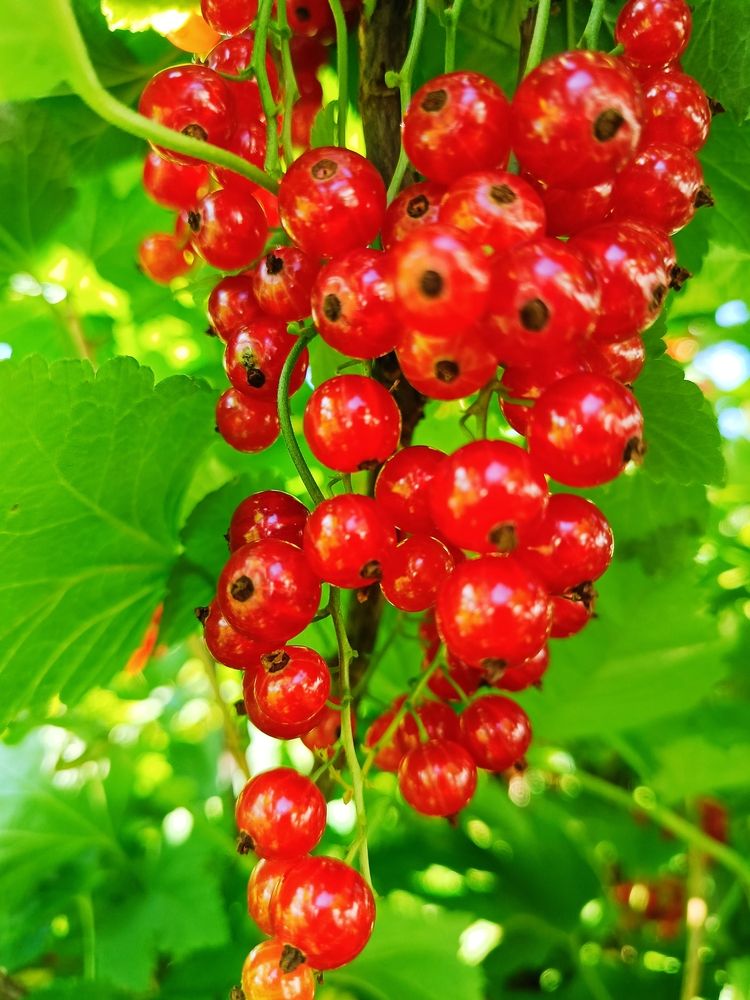 Photograph by Татьяна Бешенкина