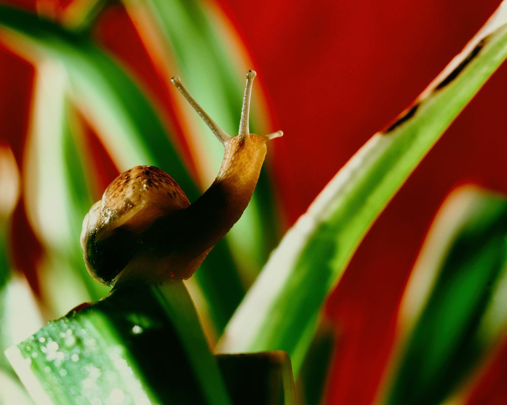 Photograph by Анна Опанасенко