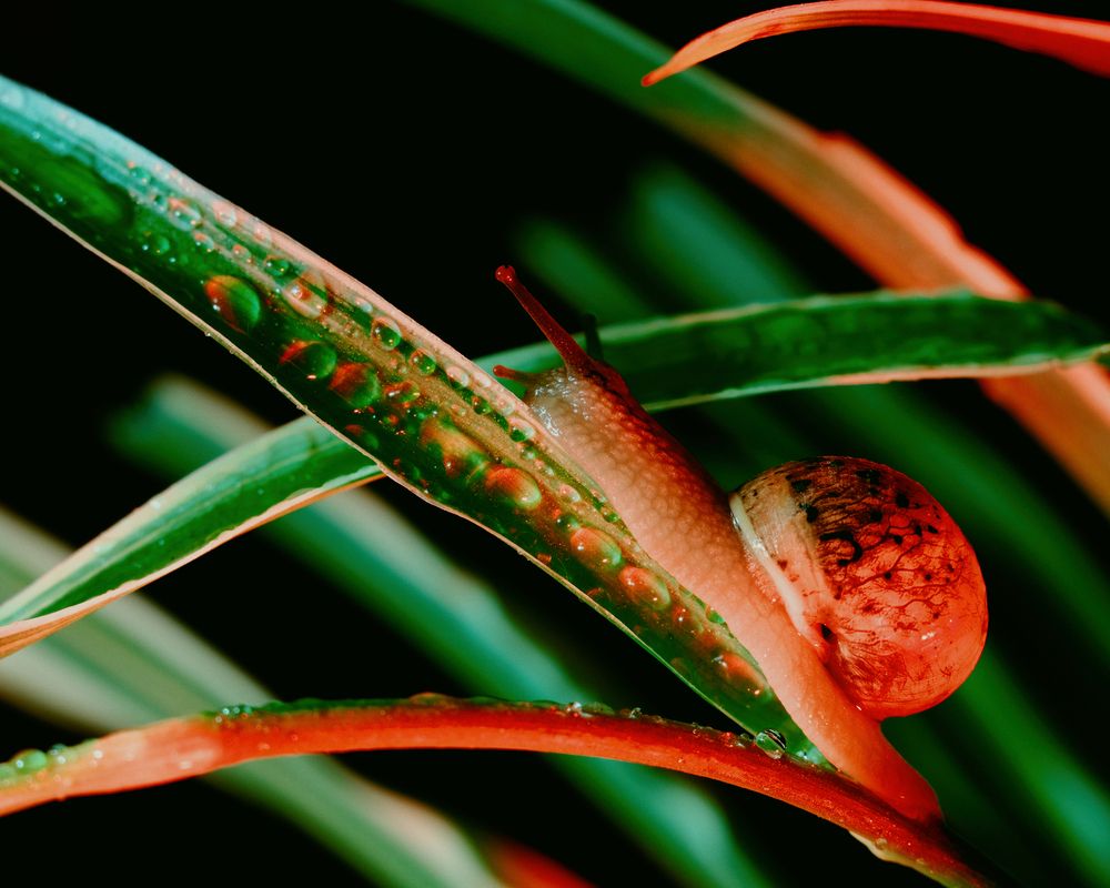 Photograph by Анна Опанасенко