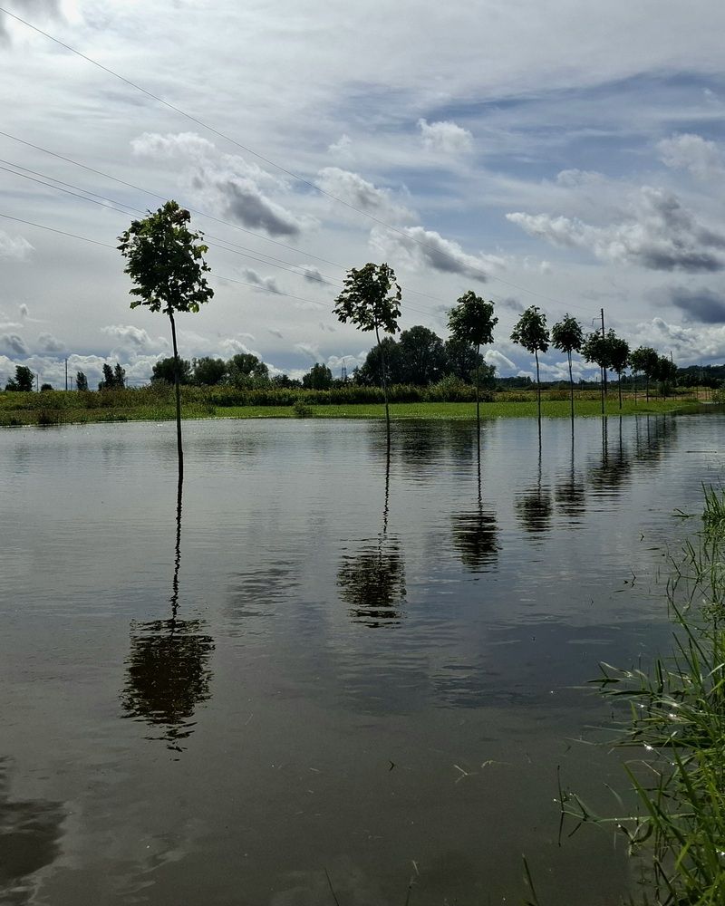 Photograph by Владимир Кублицкий