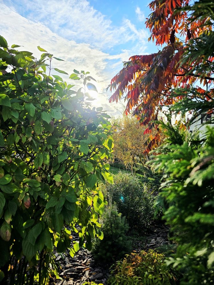 Photograph by Владимир Кублицкий