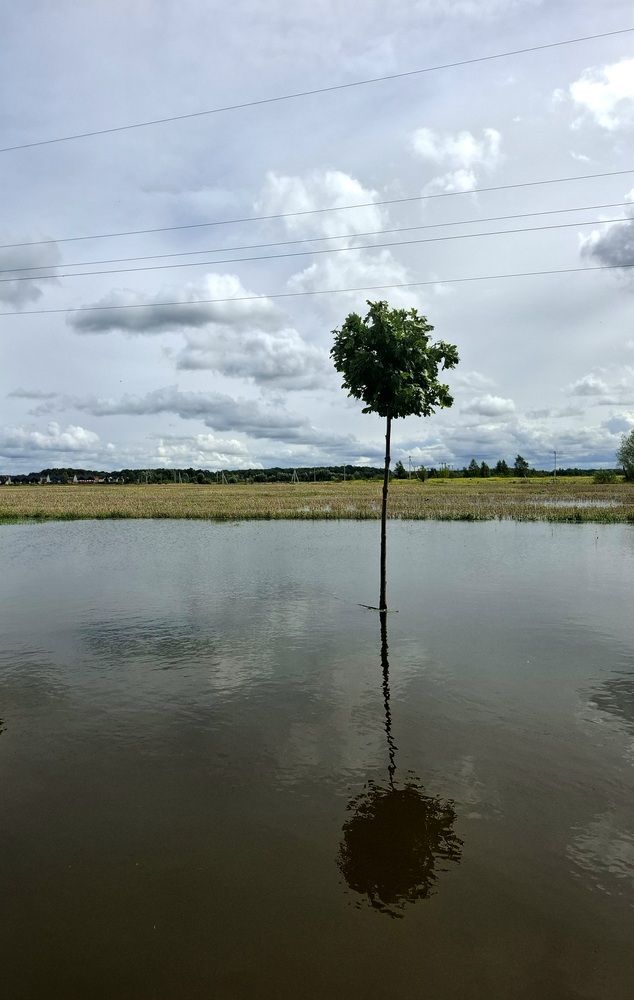 Photograph by Владимир Кублицкий