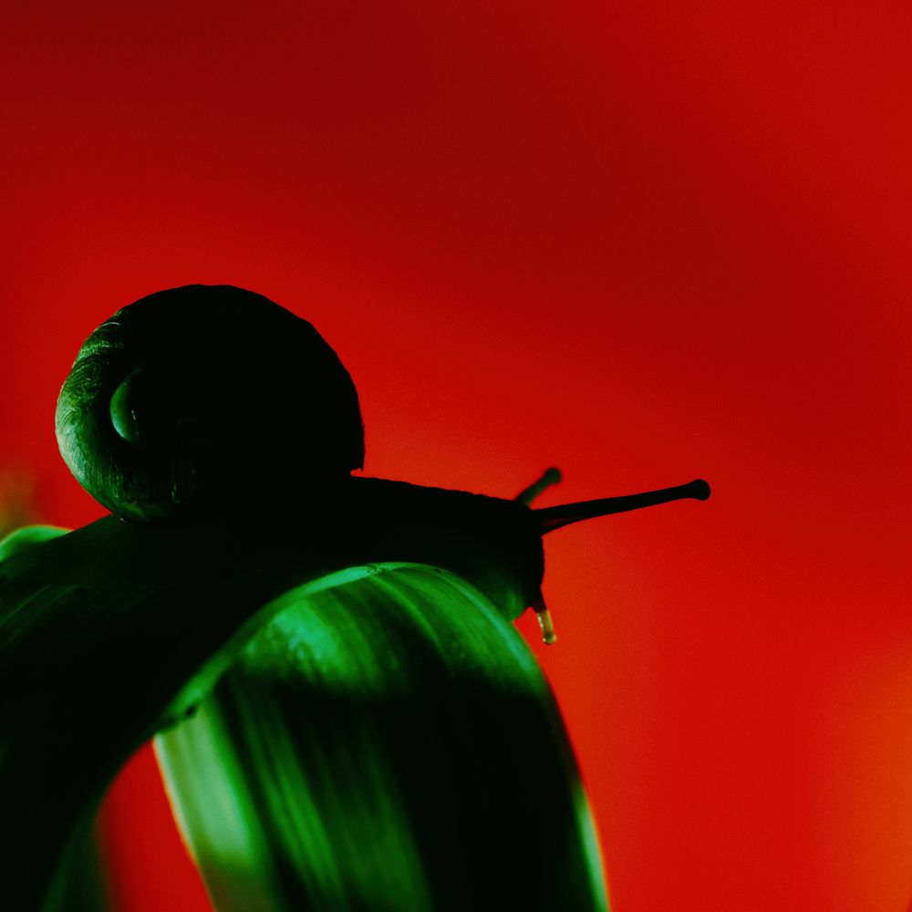 Photograph by Анна Опанасенко