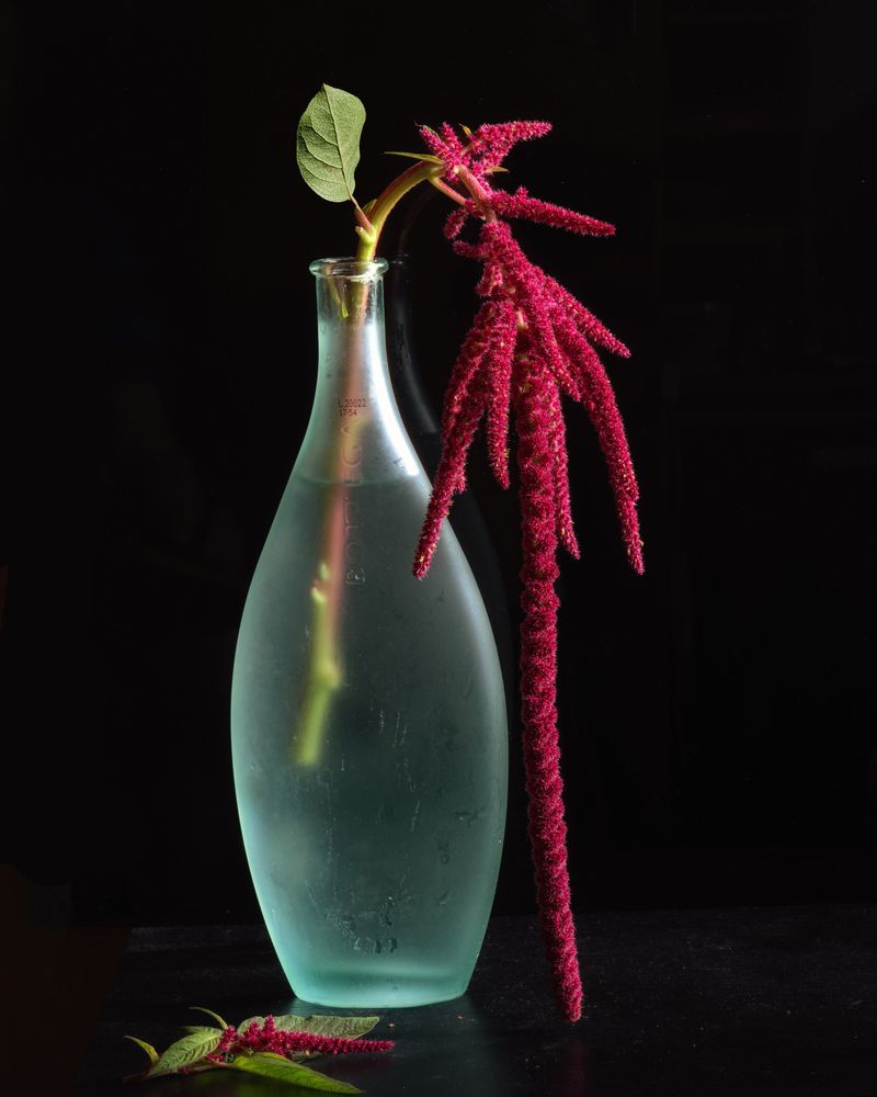 Photograph by Aleksandr Belov