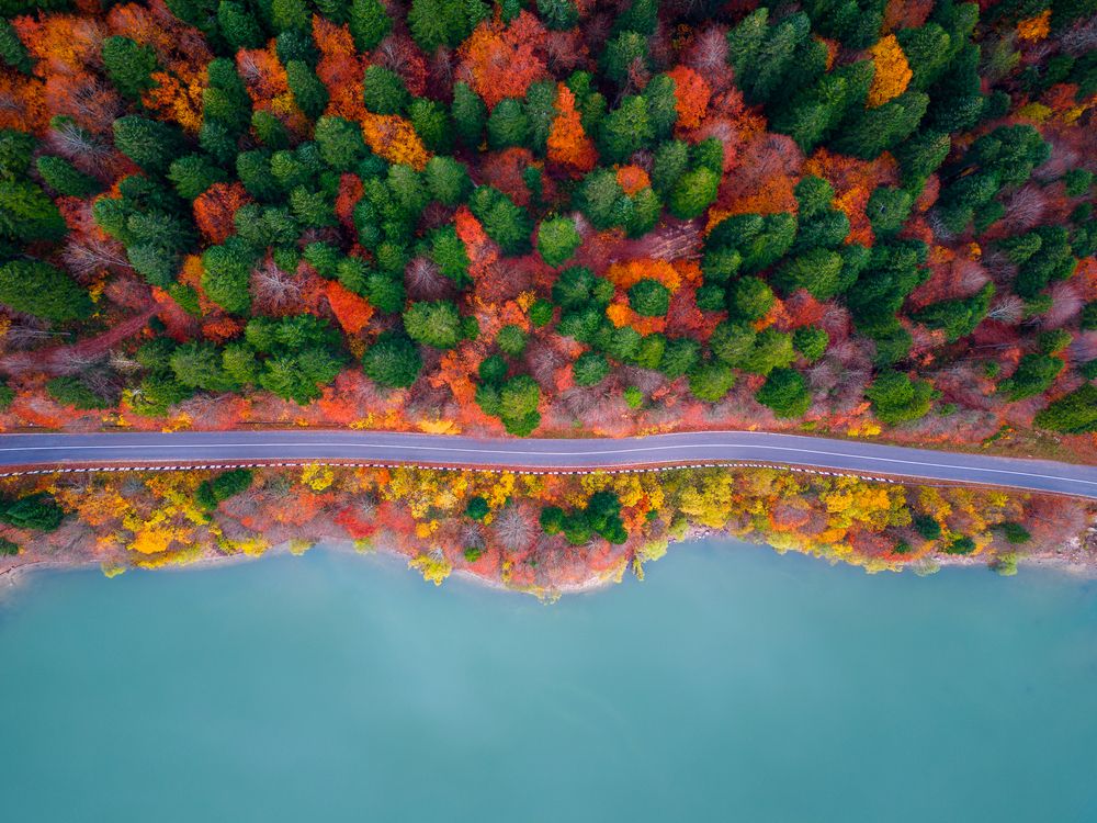 Photograph by Saba Gloveli
