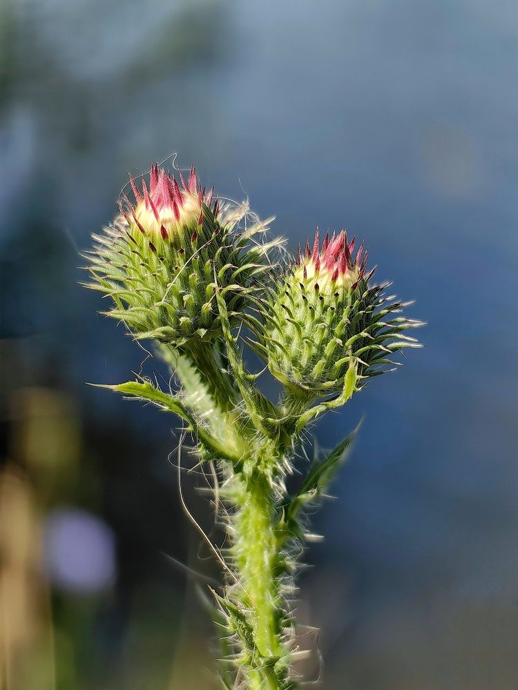 Photograph by Гульназ Шайхисламова