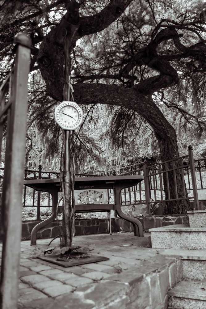 Photograph by Сергей Аникушин