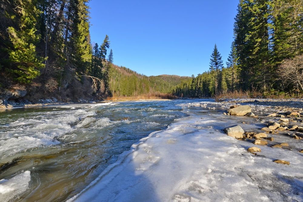 Фотография автора Сергей Тимофеев
