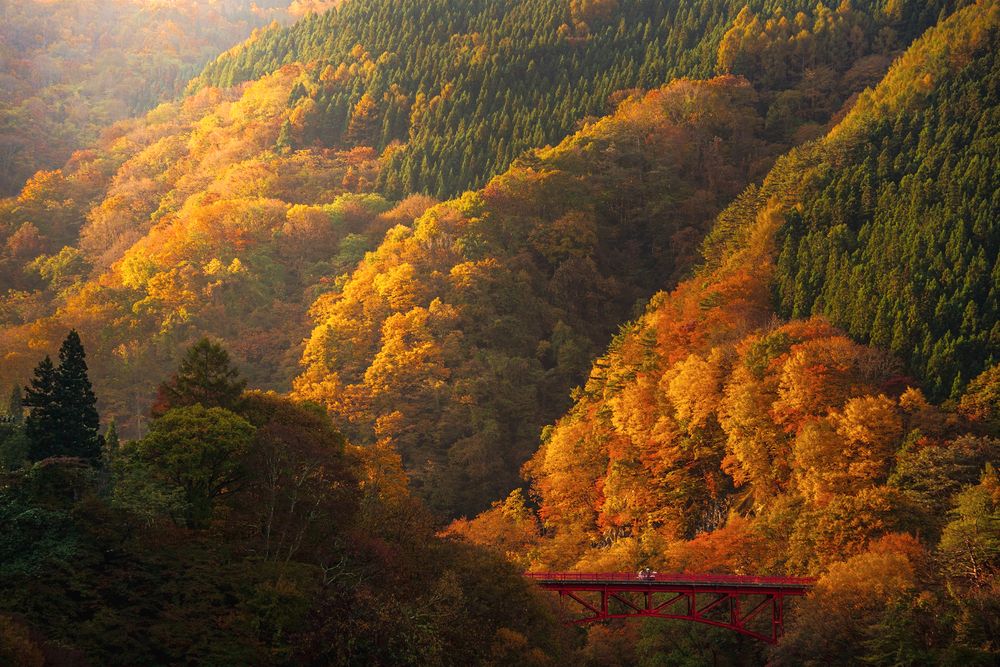 Photograph by TamaU TamaU