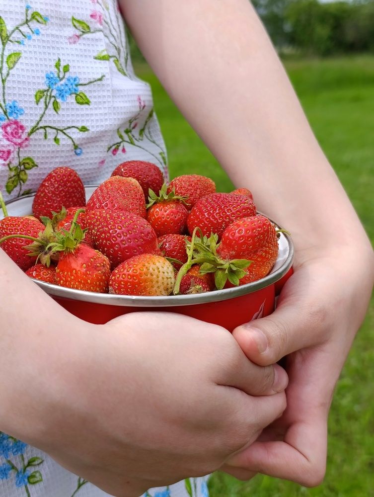 Фотография автора Юлия