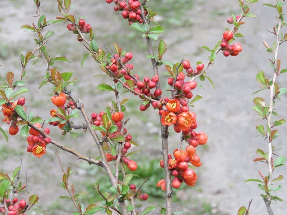 Photograph by Валерия Яскович