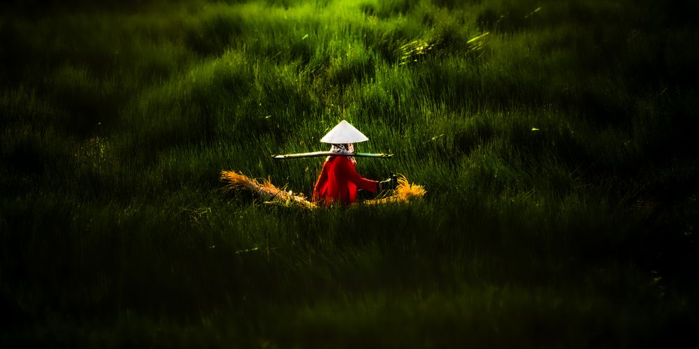 Photograph by Halo Nguyen