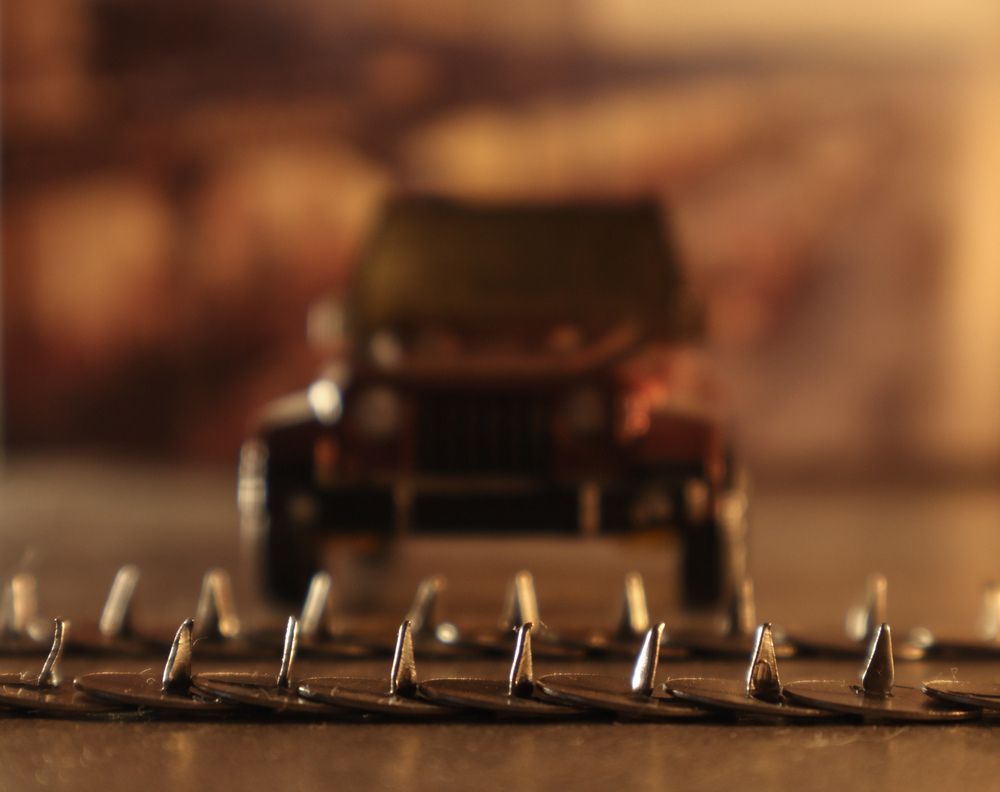 Photograph by Анна Чичилова