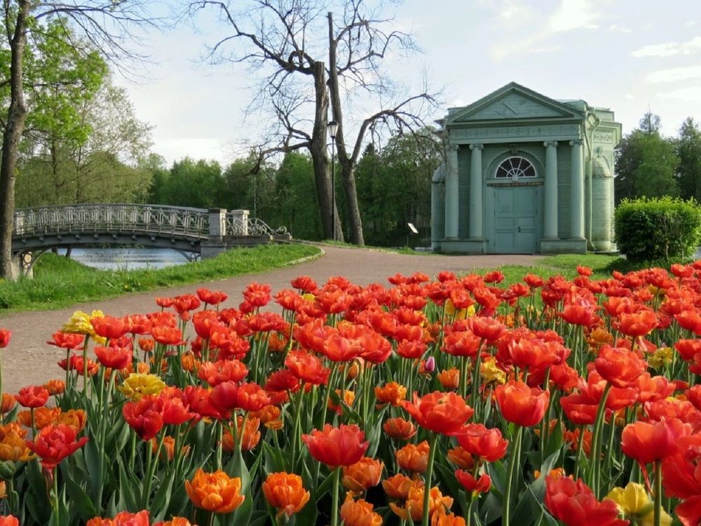 Photograph by Валерия Яскович