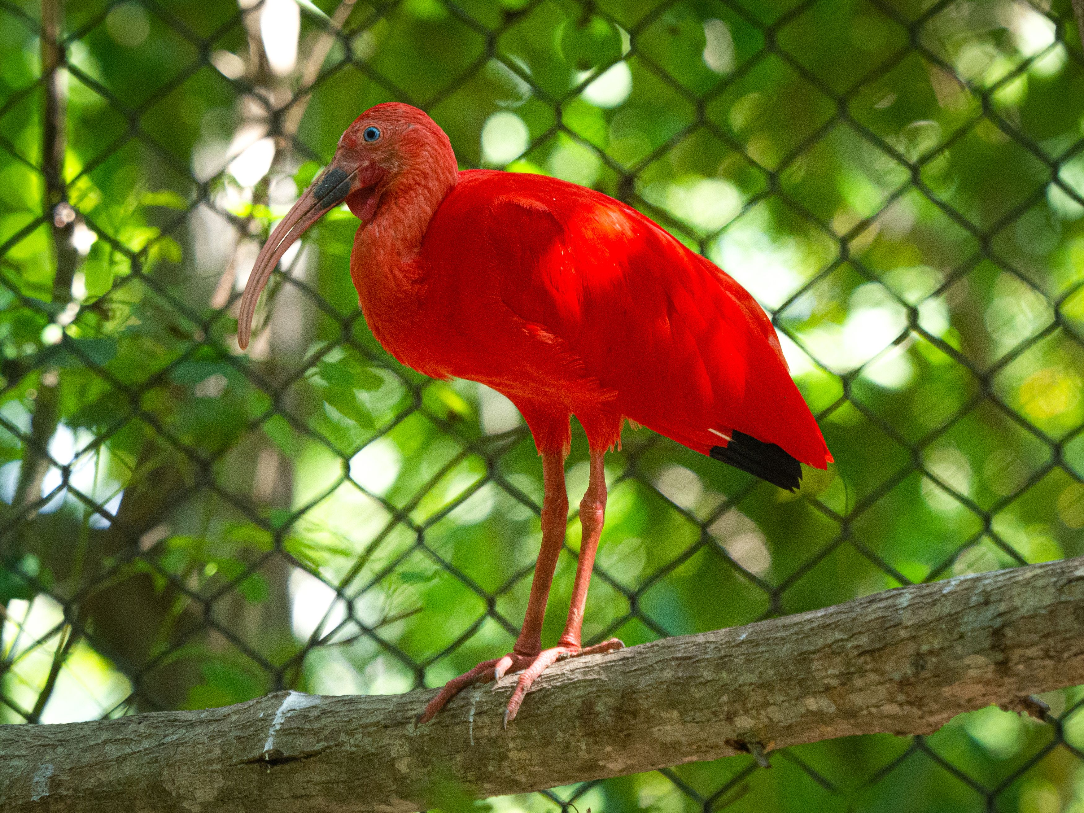 Фотография автора Camilo Rojas