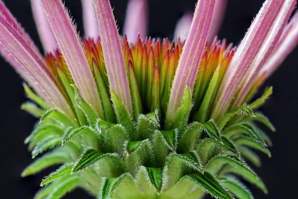 Photograph by Наталья Соколова