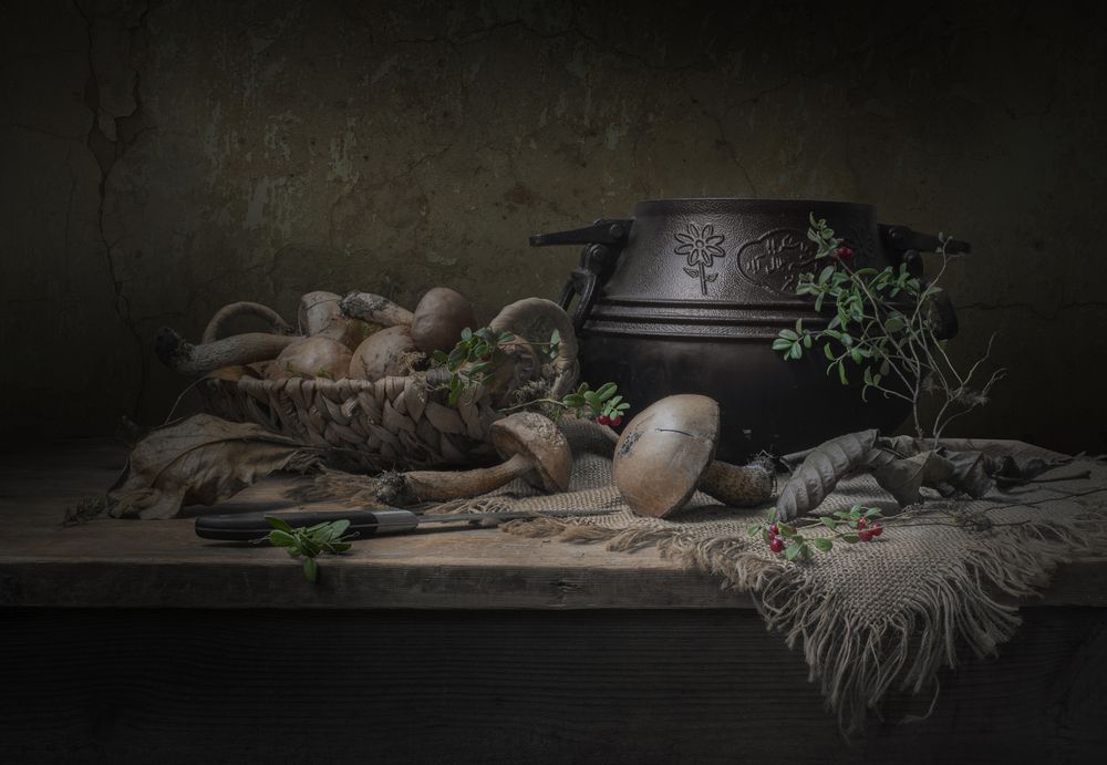 Фотография автора Шипунова Ирина