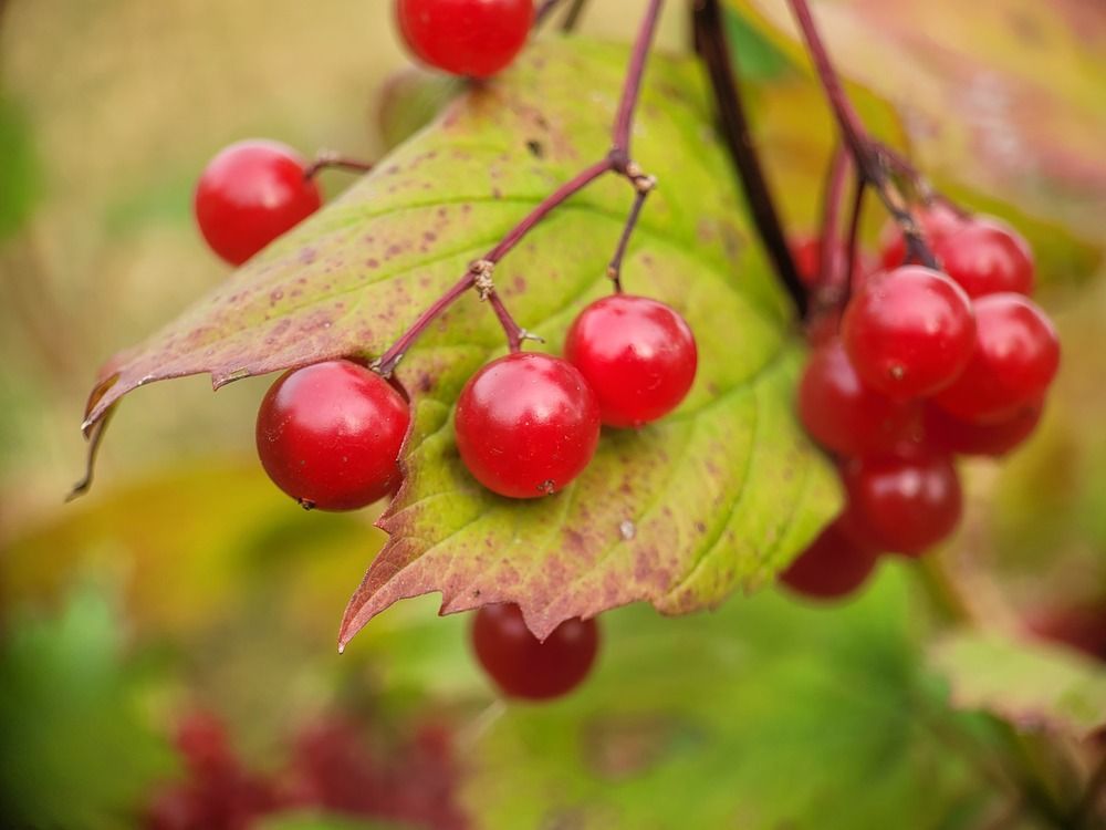 Photograph by Алексей Горин