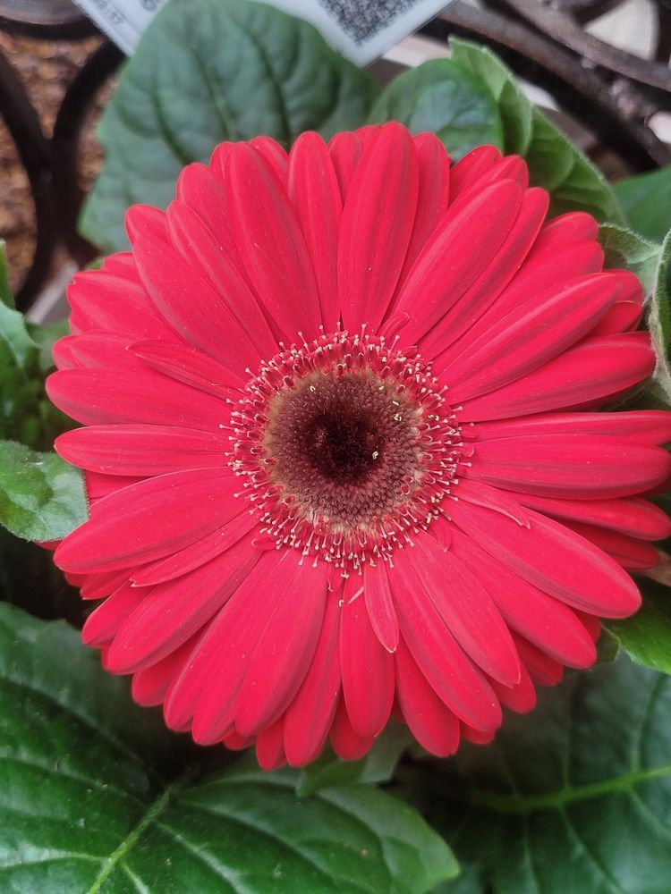 Photograph by Алексей Горин