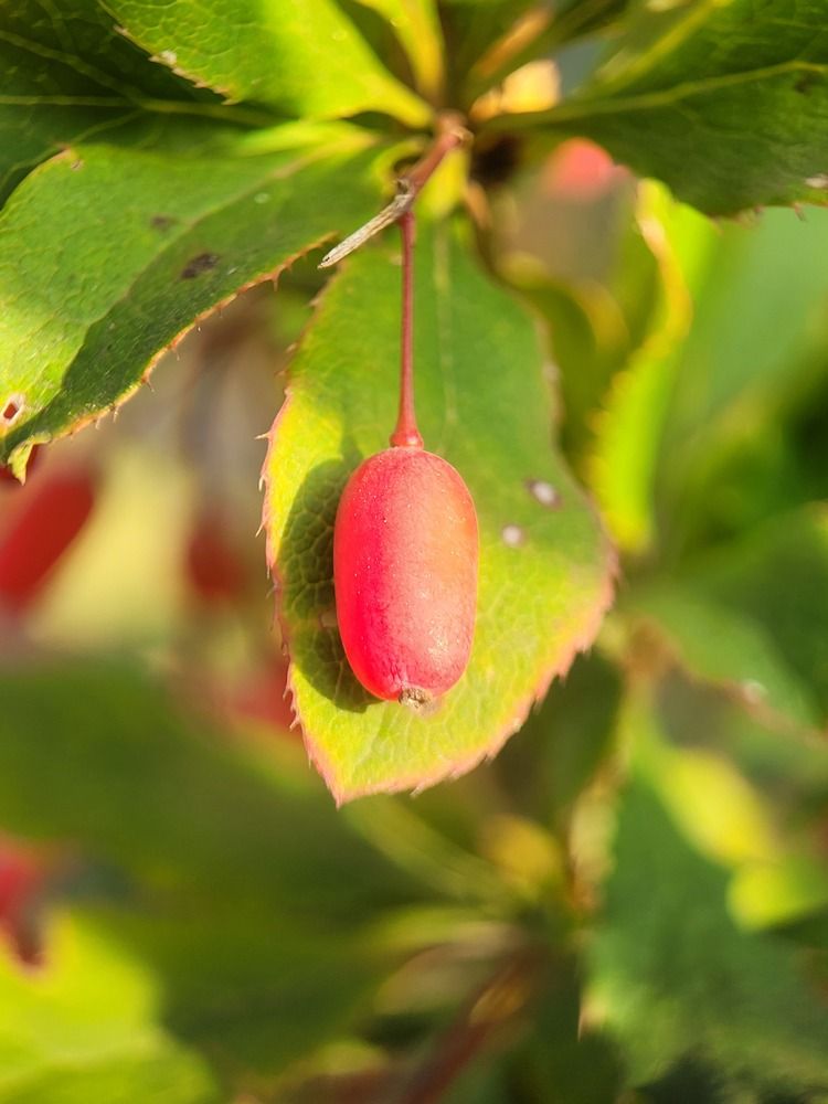 Photograph by Алексей Горин