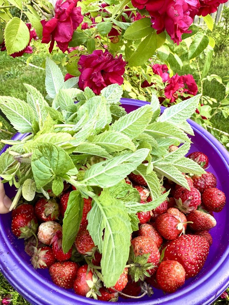 Photograph by Оксана Малышева