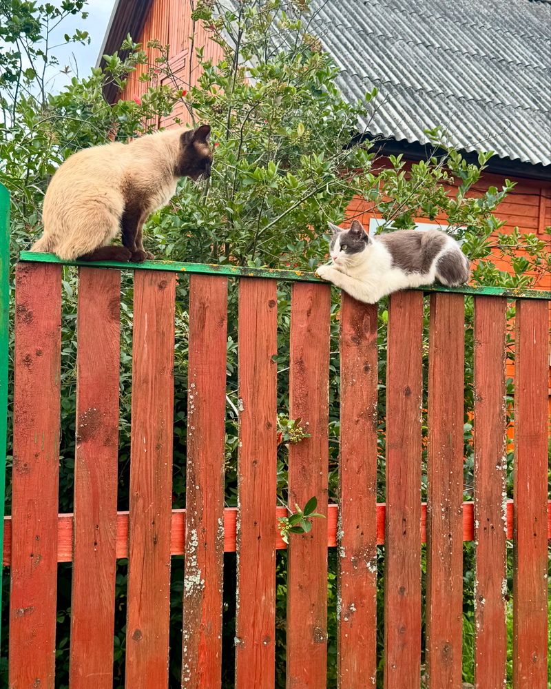 Photograph by Оксана Малышева