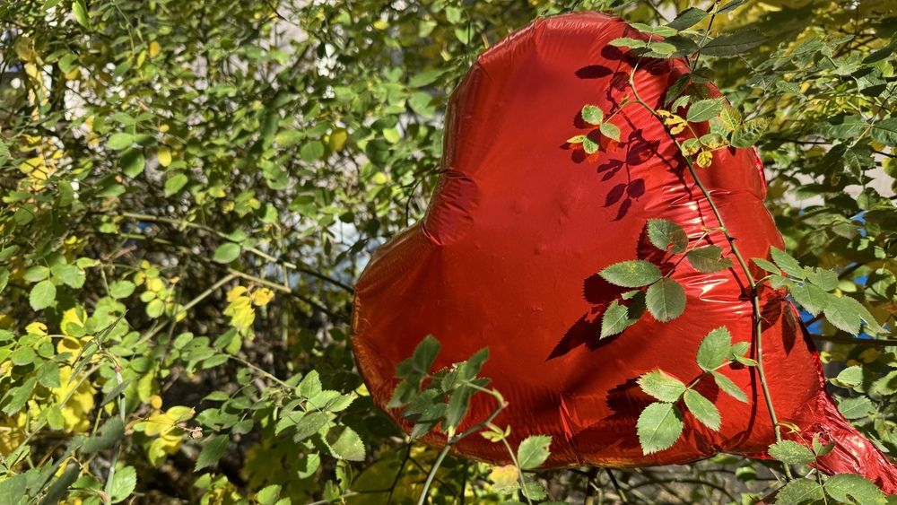 Photograph by Сергей Смирнов