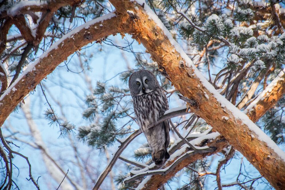 Photograph by Ирина