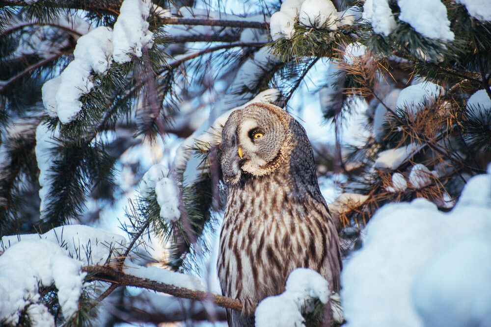 Photograph by Ирина