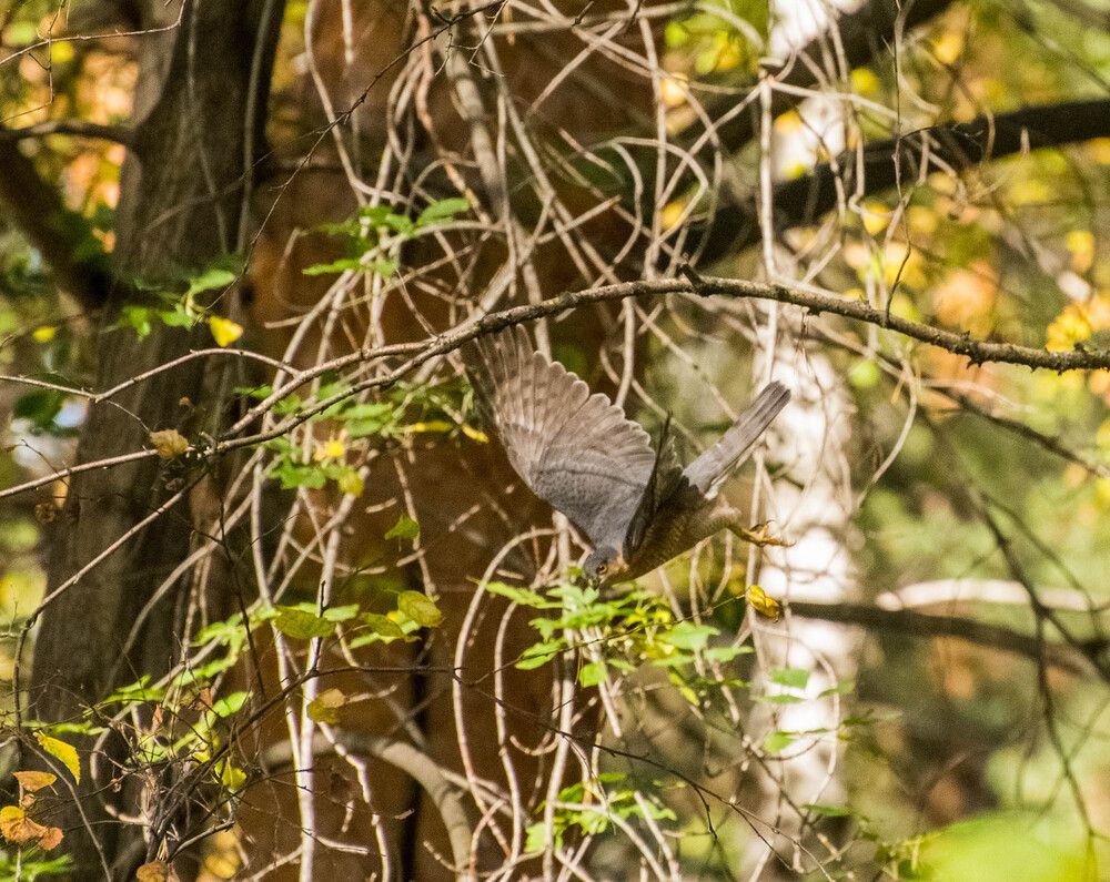 Photograph by Ирина