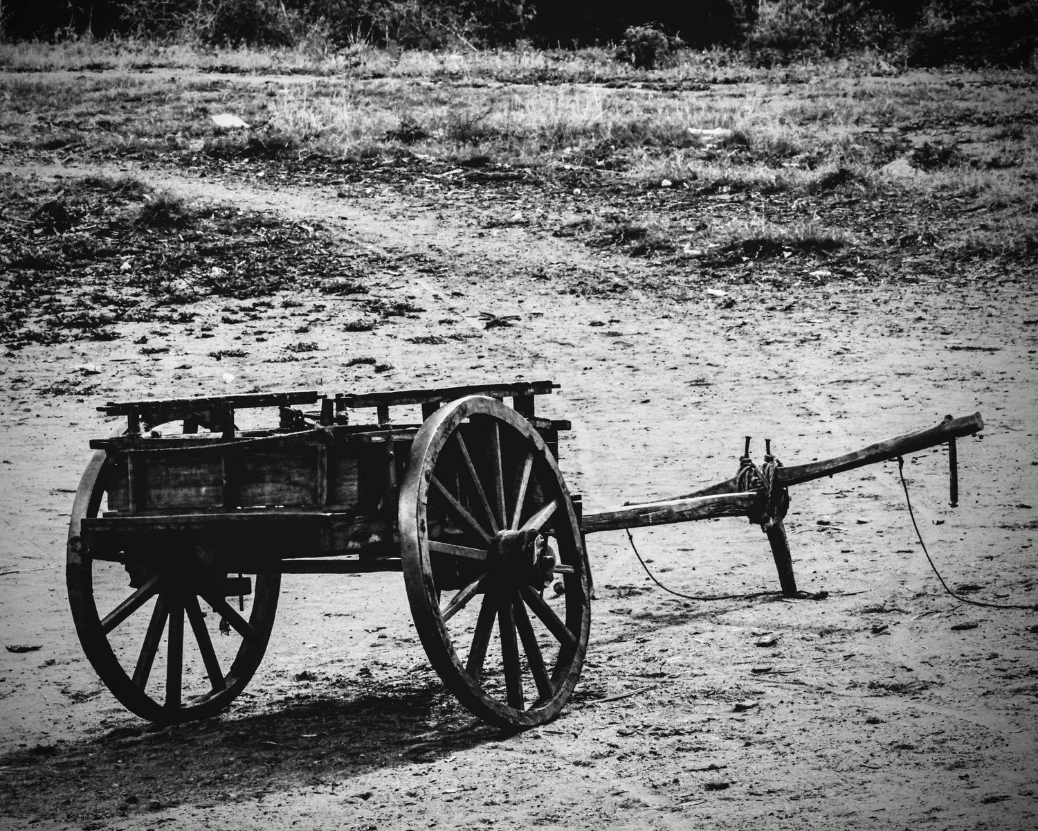 Tropic of Capricorn Cart