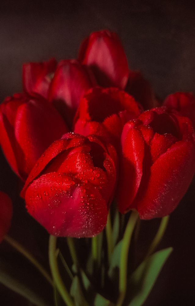 Photograph by Марина Мальцева